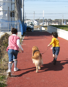 c0096393_21362746.jpg