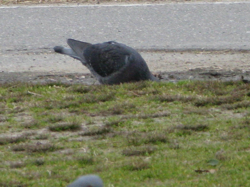 f0181394_16533887.jpg