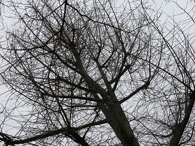 f0181394_177629.jpg