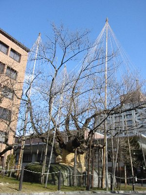 e0122199_17101545.jpg