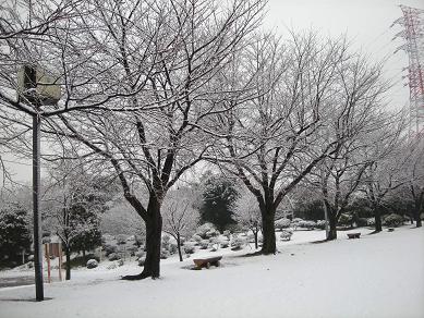 f0081100_20341536.jpg