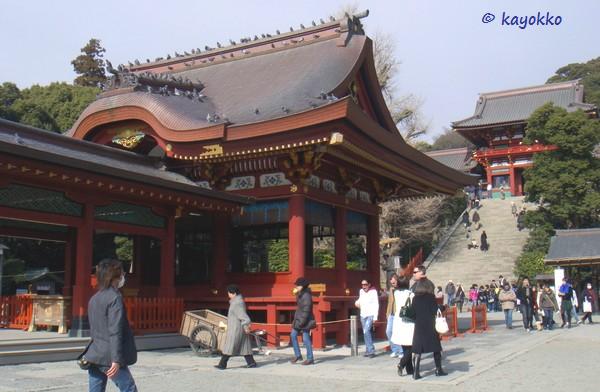 e0007801_954115.jpg