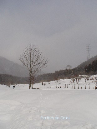 d0087503_23281440.jpg