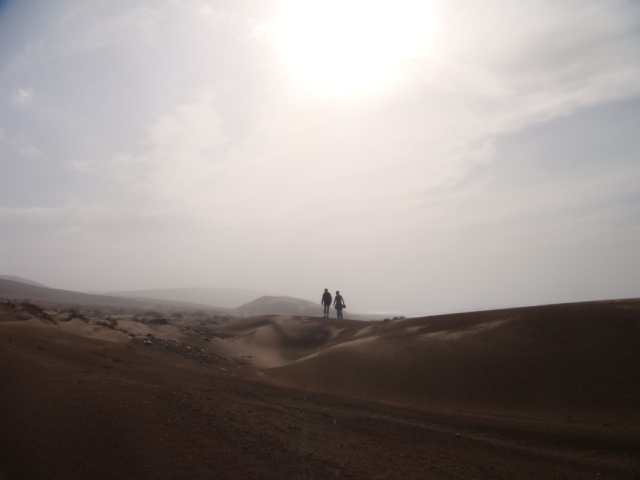 d0126508_6112527.jpg