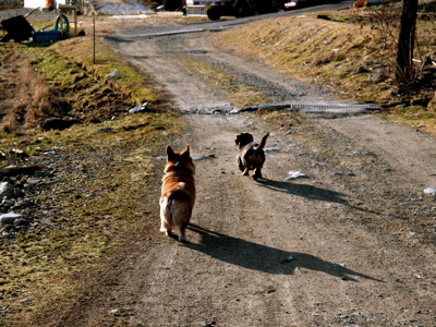 f0135908_750533.jpg