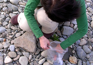 f0036716_1773953.jpg