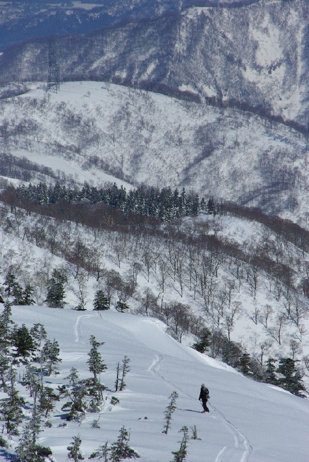 b0062024_18331740.jpg