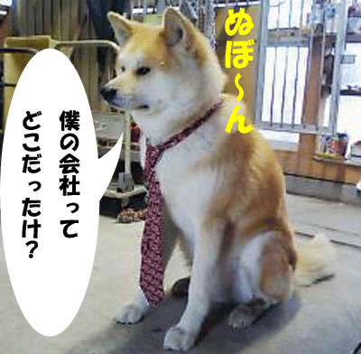 f0008935_153320.gif
