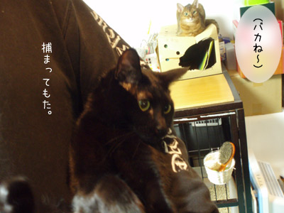 c0132438_2219235.jpg