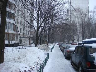 b0094239_233081.jpg