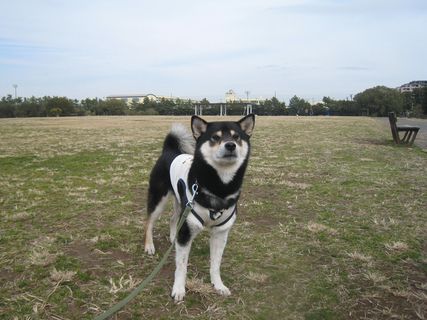 f0058241_1537957.jpg