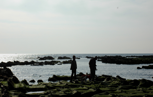 a0082146_0232037.jpg