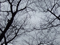 c0047860_20184940.jpg