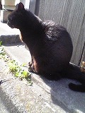 c0047860_22421097.jpg