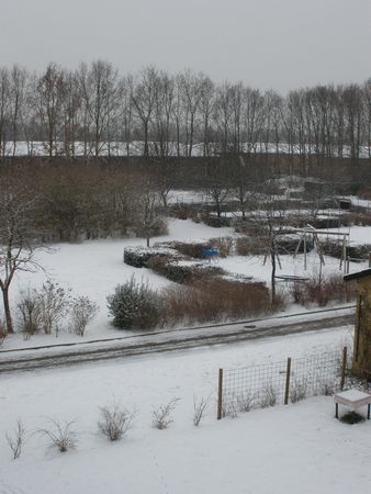 c0125662_371649.jpg