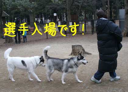 c0161772_21331948.jpg