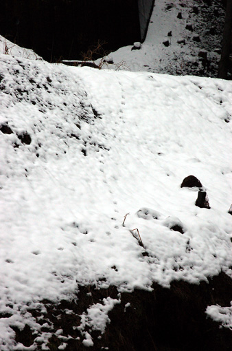 d0148073_22485484.jpg