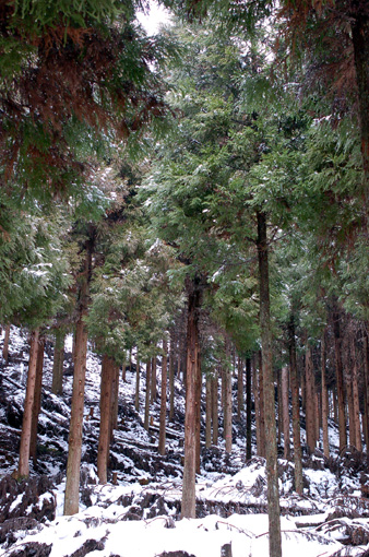 d0148073_22515320.jpg