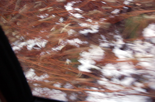 d0148073_22563127.jpg