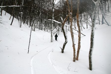 d0079579_23352135.jpg