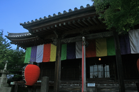 a0045381_12225491.jpg