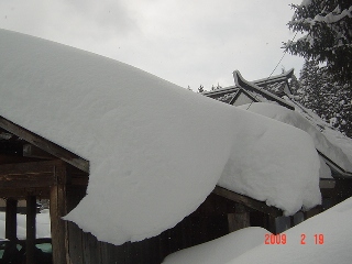 c0057781_172366.jpg