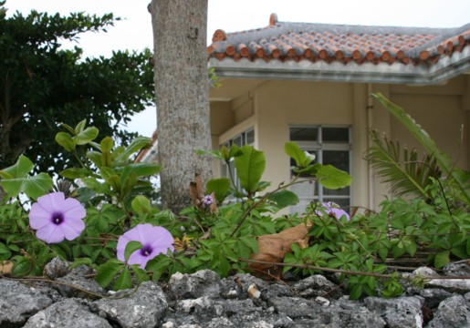 c0144185_2038252.jpg