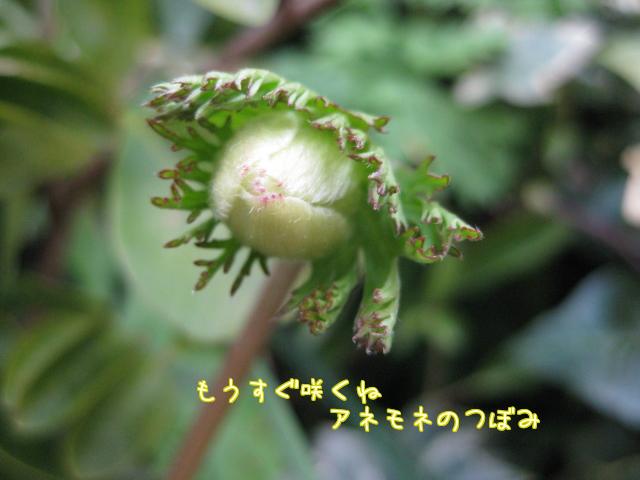 f0143386_18581052.jpg