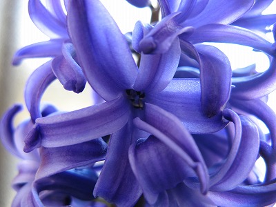 f0100289_23173137.jpg