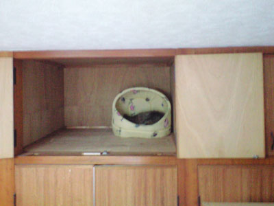 e0019594_8502829.jpg