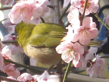 b0078597_20263337.jpg