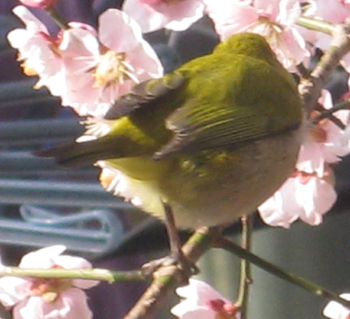 b0078597_20265782.jpg