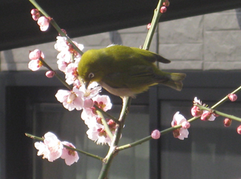 b0078597_2026753.jpg