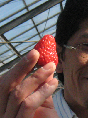 b0097200_2353539.jpg