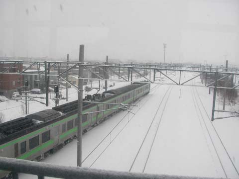 d0004301_17305732.jpg