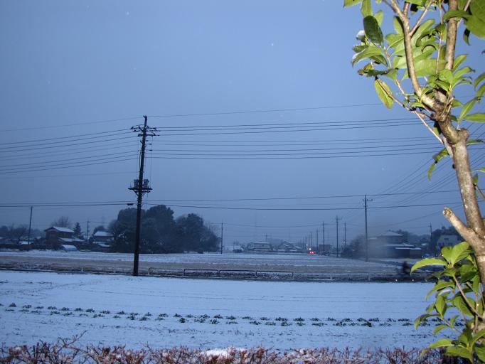 b0116703_11352849.jpg