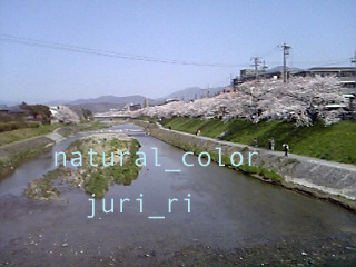 c0063808_1394927.jpg