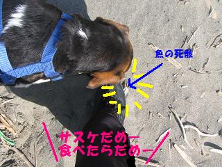 d0104209_2226615.jpg
