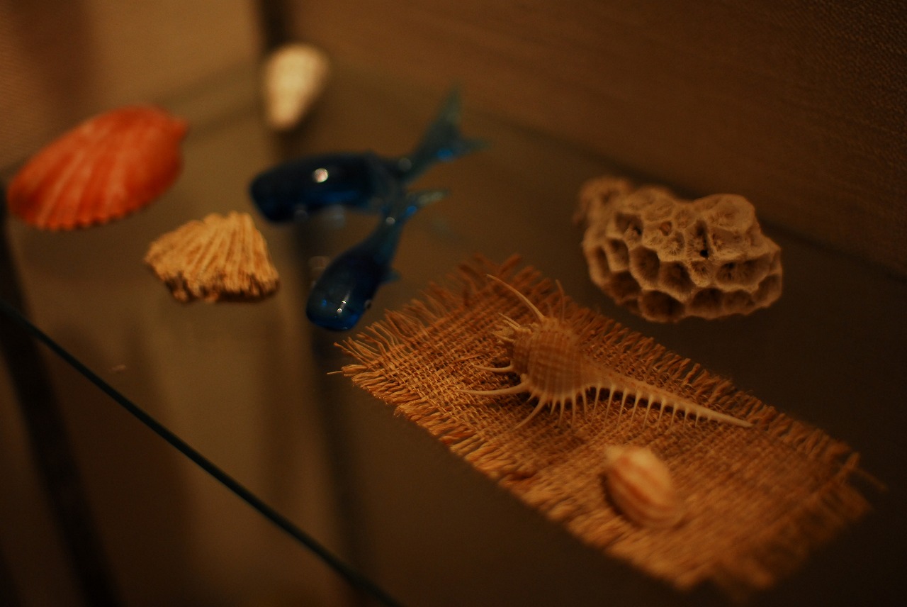 d0089110_22524156.jpg