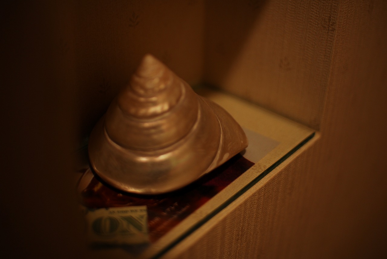 d0089110_2255058.jpg