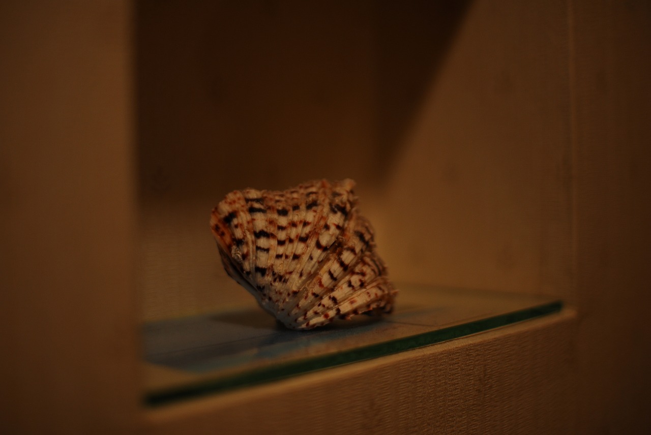 d0089110_22554861.jpg