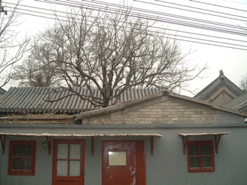 d0111714_957456.jpg