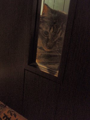 c0145016_0151979.jpg