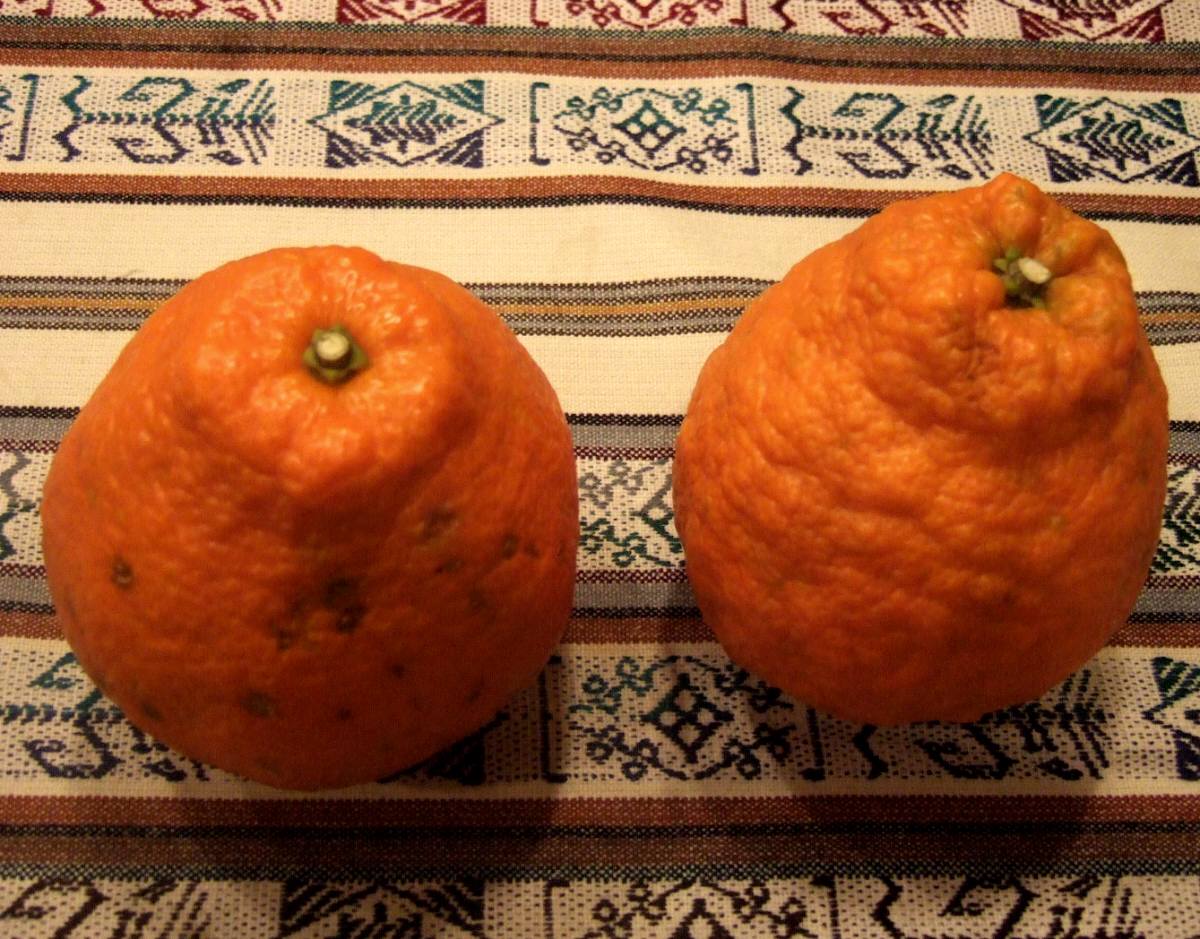 c0020725_20122352.jpg