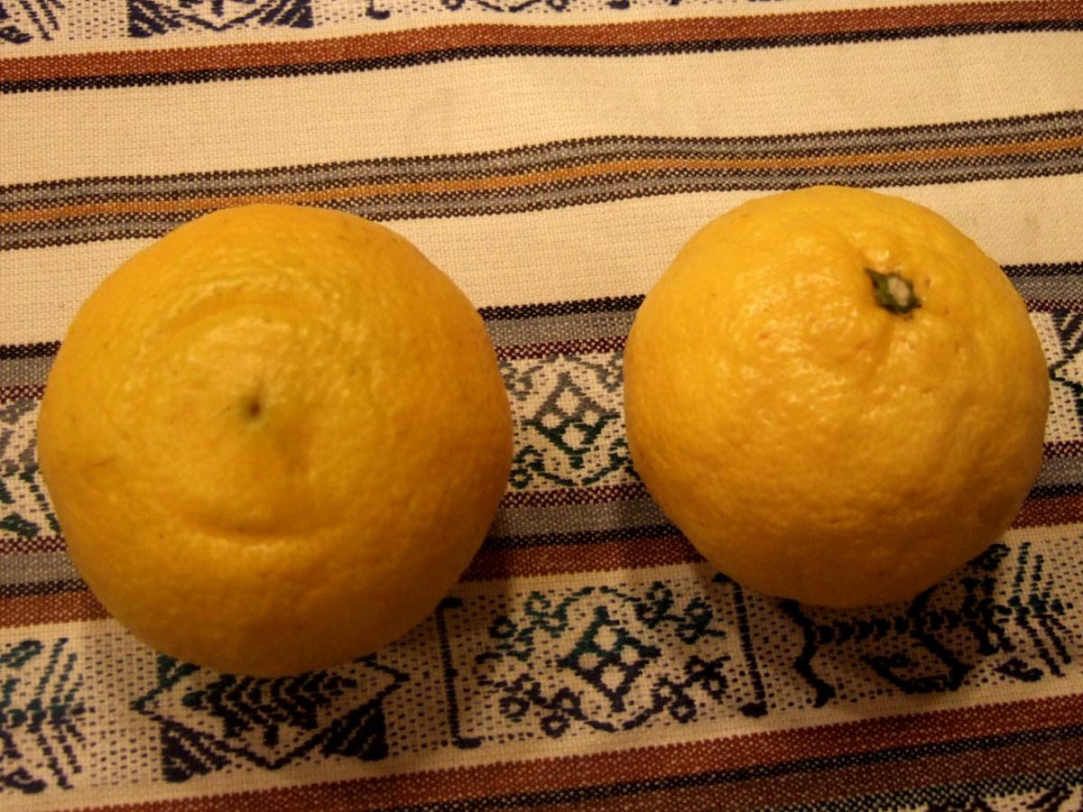c0020725_20145528.jpg