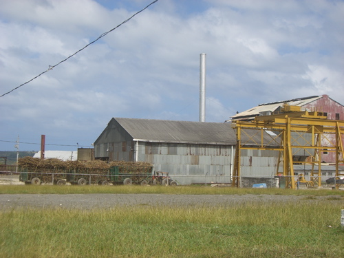 f0169328_1225860.jpg