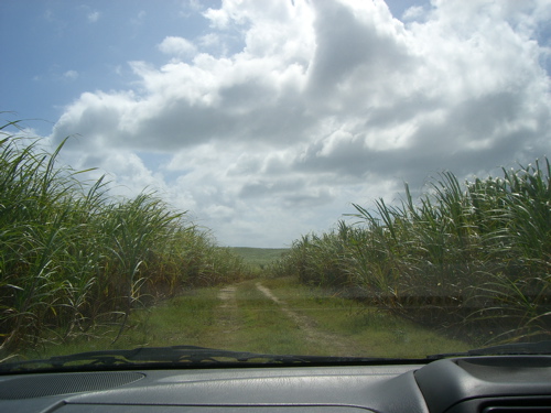 f0169328_1233035.jpg