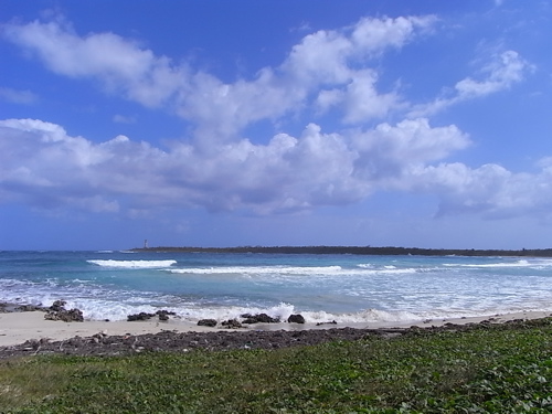 f0169328_1235362.jpg