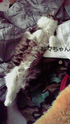 a0090729_19533213.jpg