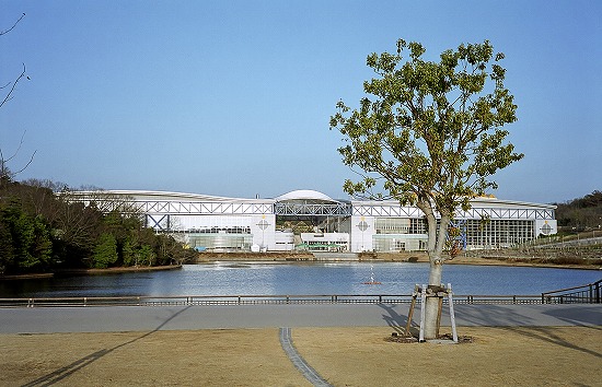 d0001533_181837100.jpg